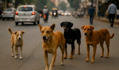 Photo Courtesy: AI Generated