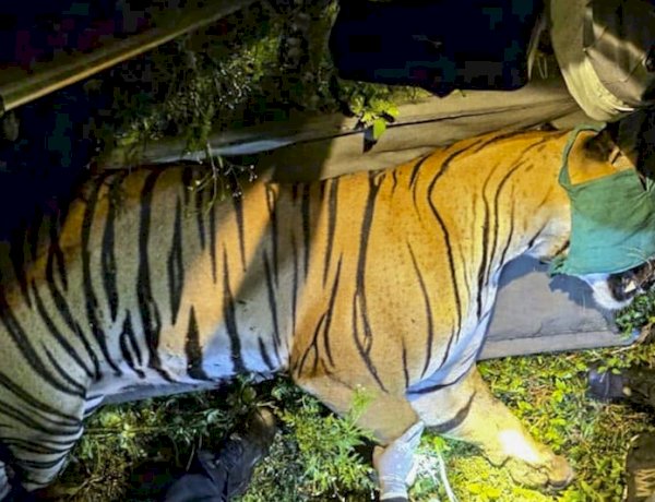 Representative Image