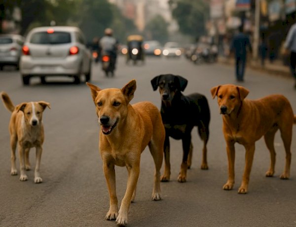 Photo Courtesy: AI Generated