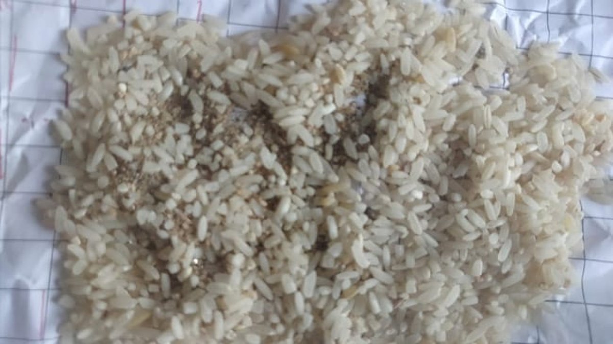 MP: आदिवासियों को बांटा गया चावल जानवरों के खाने योग्य MP: आदिवासियों को बांटा गया चावल जानवरों के खाने योग्य