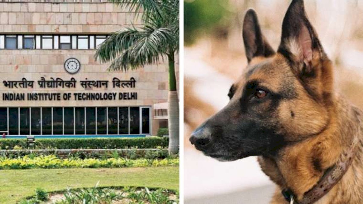 IIT Delhi: कुत्ता संभालने के लिए बीटेक डिग्री का विज्ञापन देने पर घिरा आईआईटी प्रशासन IIT Delhi: कुत्ता संभालने के लिए बीटेक डिग्री का विज्ञापन देने पर घिरा आईआईटी प्रशासन