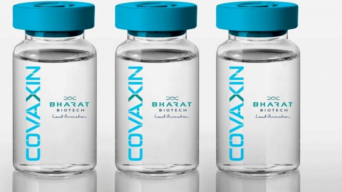 covaxin: जानवरों पर कामयाब हुई भारत की कोरोना वैक्सीन covaxin: जानवरों पर कामयाब हुई भारत की कोरोना वैक्सीन