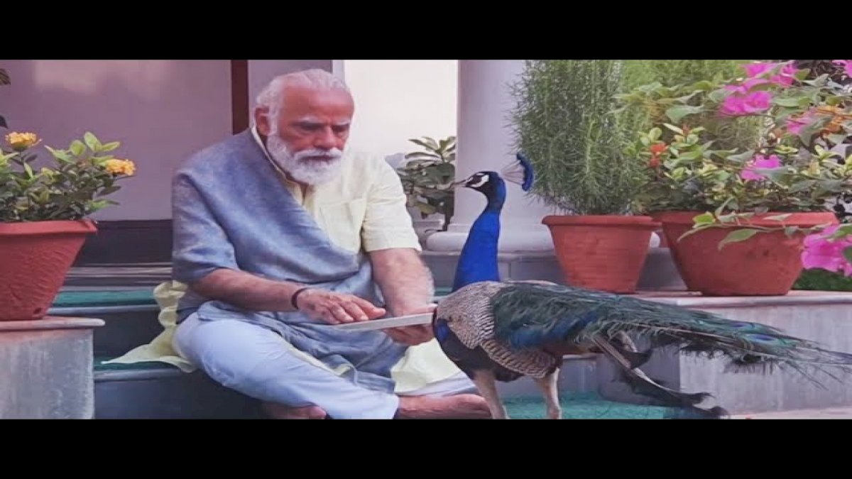Rahul Gandhi: अपनी रक्षा खुद कीजिए, प्रधानमंत्री मोर के साथ व्यस्त हैं Rahul Gandhi: अपनी रक्षा खुद कीजिए, प्रधानमंत्री मोर के साथ व्यस्त हैं