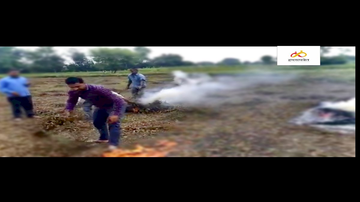 Farmers Distress: मुआवजे के इंतज़ार में फसल जलाने पर मजबूर किसान Farmers Distress: मुआवजे के इंतज़ार में फसल जलाने पर मजबूर किसान