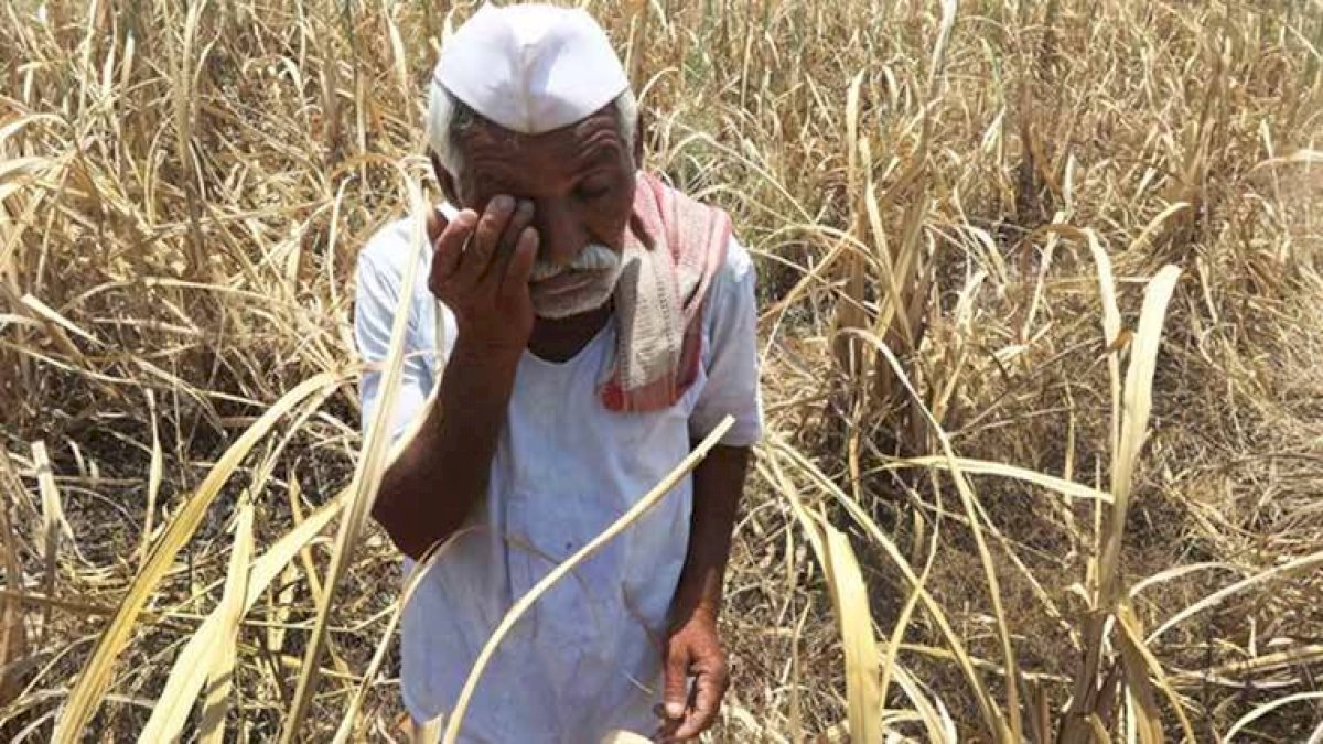 हल-बैल बिके, खलिहान बिके, जीने ही के सब सामान बिके हल-बैल बिके, खलिहान बिके, जीने ही के सब सामान बिके
