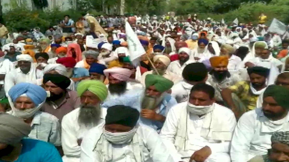 Farmers Protest: किसानों के साथ आए जेजेपी के दो विधायक, कृषि विधेयकों का विरोध Farmers Protest: किसानों के साथ आए जेजेपी के दो विधायक, कृषि विधेयकों का विरोध