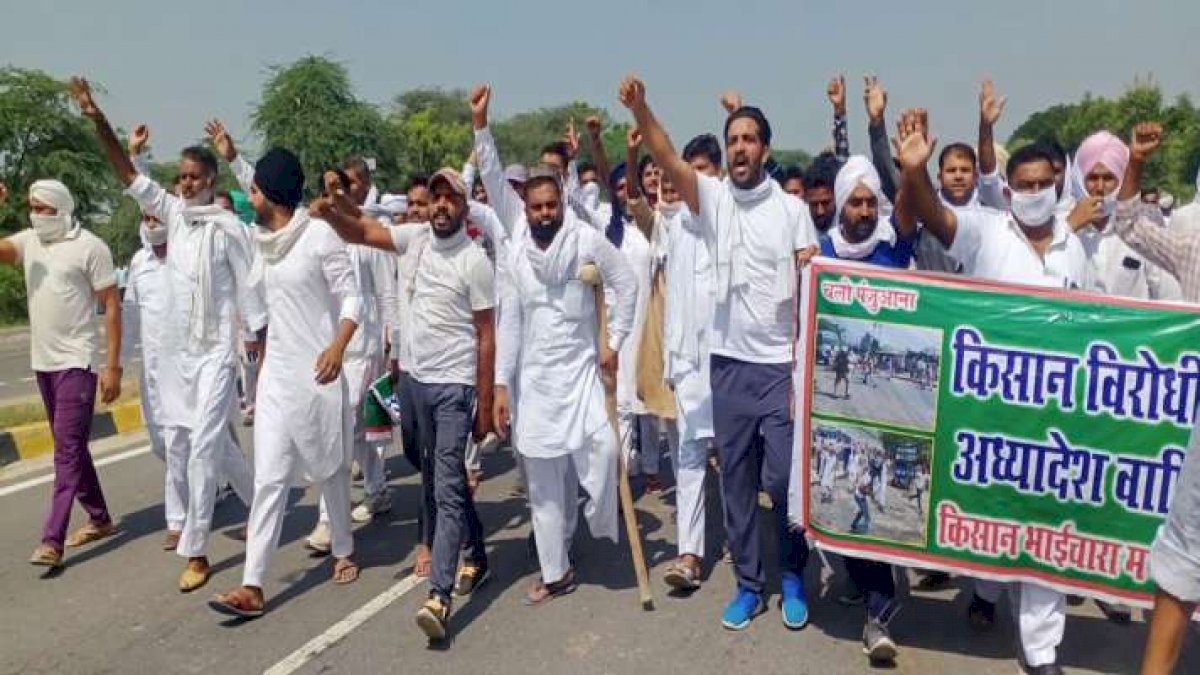 Agriculture Bill 2020: कृषि बिलों के खिलाफ कोर्ट जाएगी पंजाब सरकार Agriculture Bill 2020: कृषि बिलों के खिलाफ कोर्ट जाएगी पंजाब सरकार