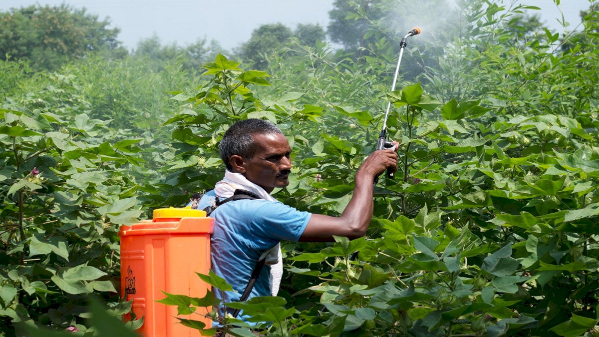 Polo Pesticide: पोलो कीटनाशक पर रोक के लिए यवतमाल के किसानों ने स्विस कोर्ट में दाखिल की अर्जी Polo Pesticide: पोलो कीटनाशक पर रोक के लिए यवतमाल के किसानों ने स्विस कोर्ट में दाखिल की अर्जी