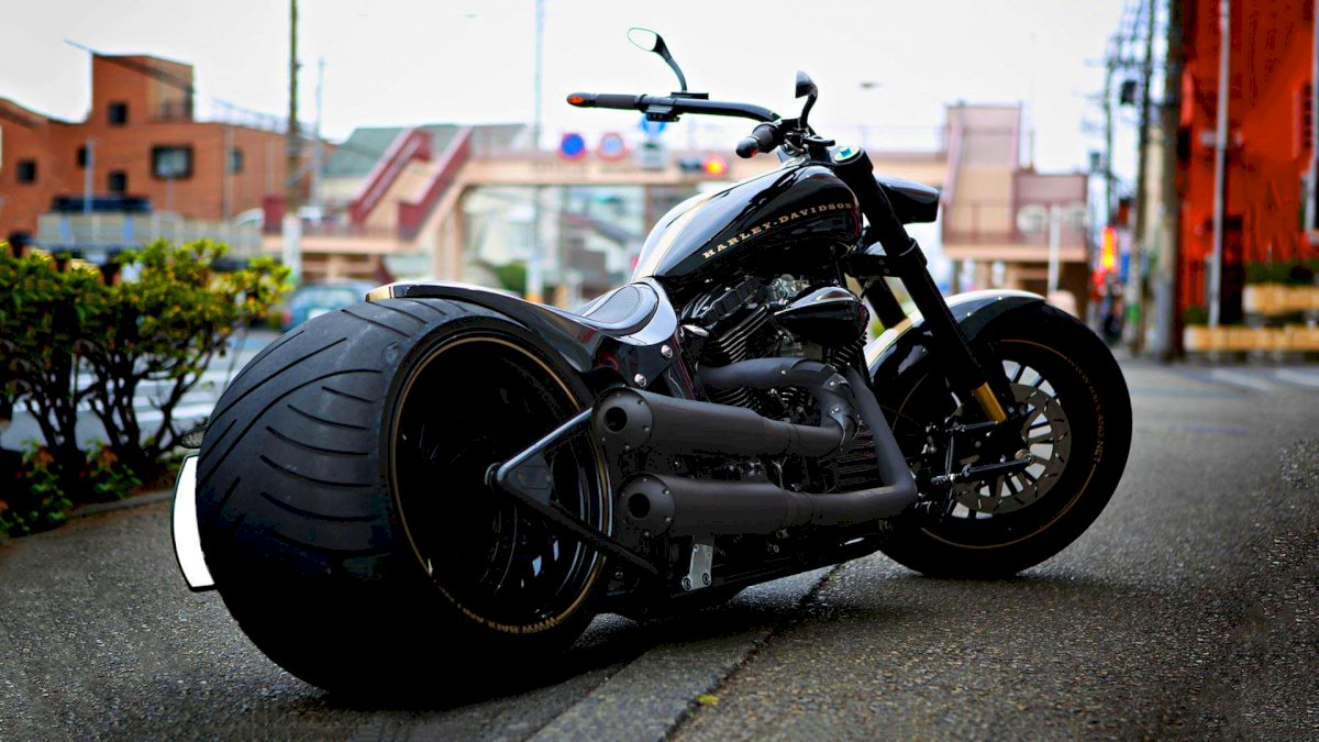 Harley Davidson: दुनिया की सबसे मशहूर सुपर-बाइक ने भारत को कहा अलविदा, देश में बंद होगा कंपनी का सारा कारोबार Harley Davidson: दुनिया की सबसे मशहूर सुपर-बाइक ने भारत को कहा अलविदा, देश में बंद होगा कंपनी का सारा कारोबार