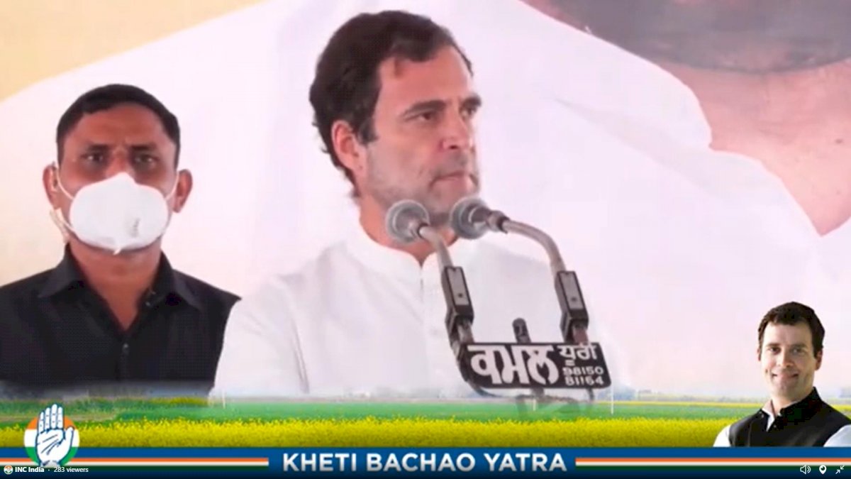 Farmers Protest Live: खेती को बर्बाद कर रही है मोदी सरकार, राहुल बोले- हम कृषि कानूनों को रद्द करके दिखाएंगे Farmers Protest Live: खेती को बर्बाद कर रही है मोदी सरकार, राहुल बोले- हम कृषि कानूनों को रद्द करके दिखाएंगे