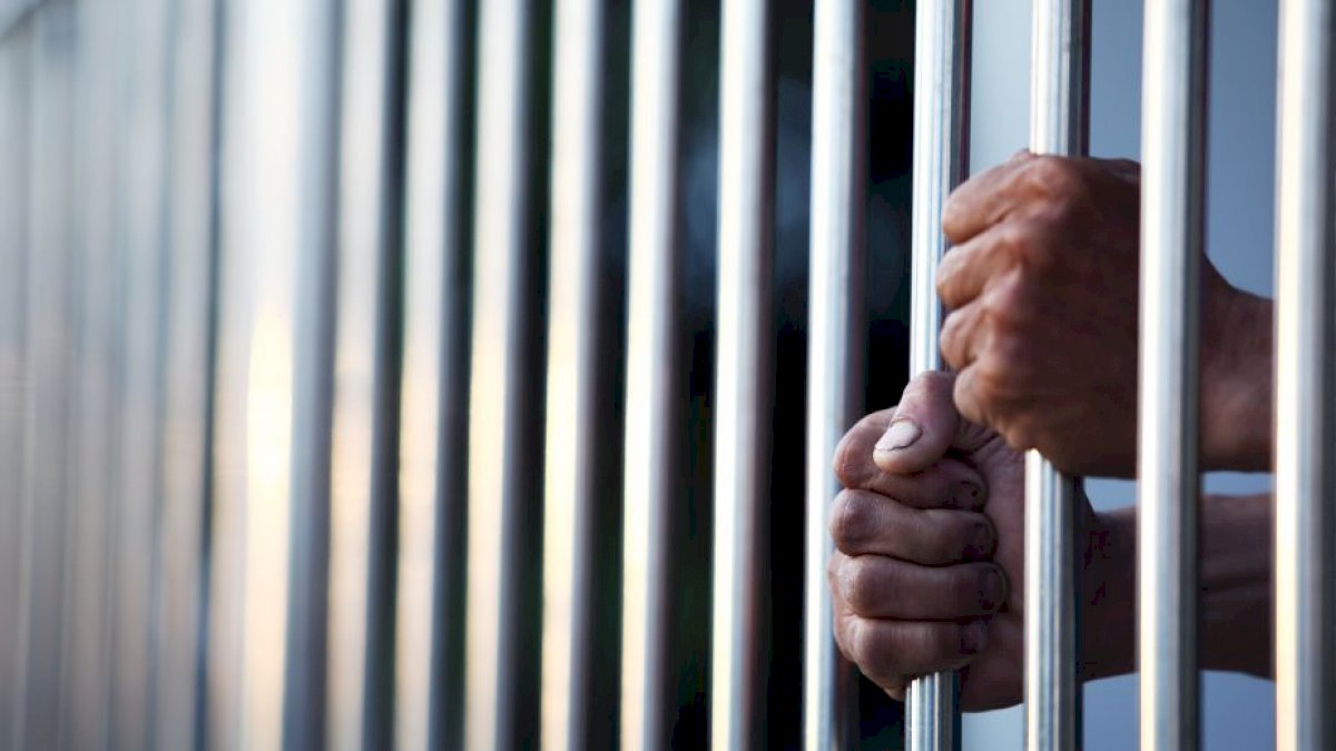 UP Jails: उत्तर प्रदेश की जेलों में हैं सबसे ज्यादा पढ़े-लिखे कैदी, क्राइम रिकॉर्ड ब्यूरो के चौंकाने वाले आंकड़े UP Jails: उत्तर प्रदेश की जेलों में हैं सबसे ज्यादा पढ़े-लिखे कैदी, क्राइम रिकॉर्ड ब्यूरो के चौंकाने वाले आंकड़े