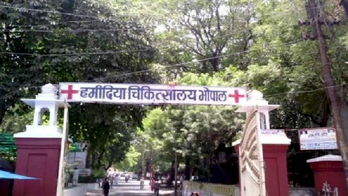 Corona In MP: भोपाल के हमीदिया अस्पताल में अब तक महज़ 105 लोगों ने किया प्लाज़्मा डोनेट Corona In MP: भोपाल के हमीदिया अस्पताल में अब तक महज़ 105 लोगों ने किया प्लाज़्मा डोनेट