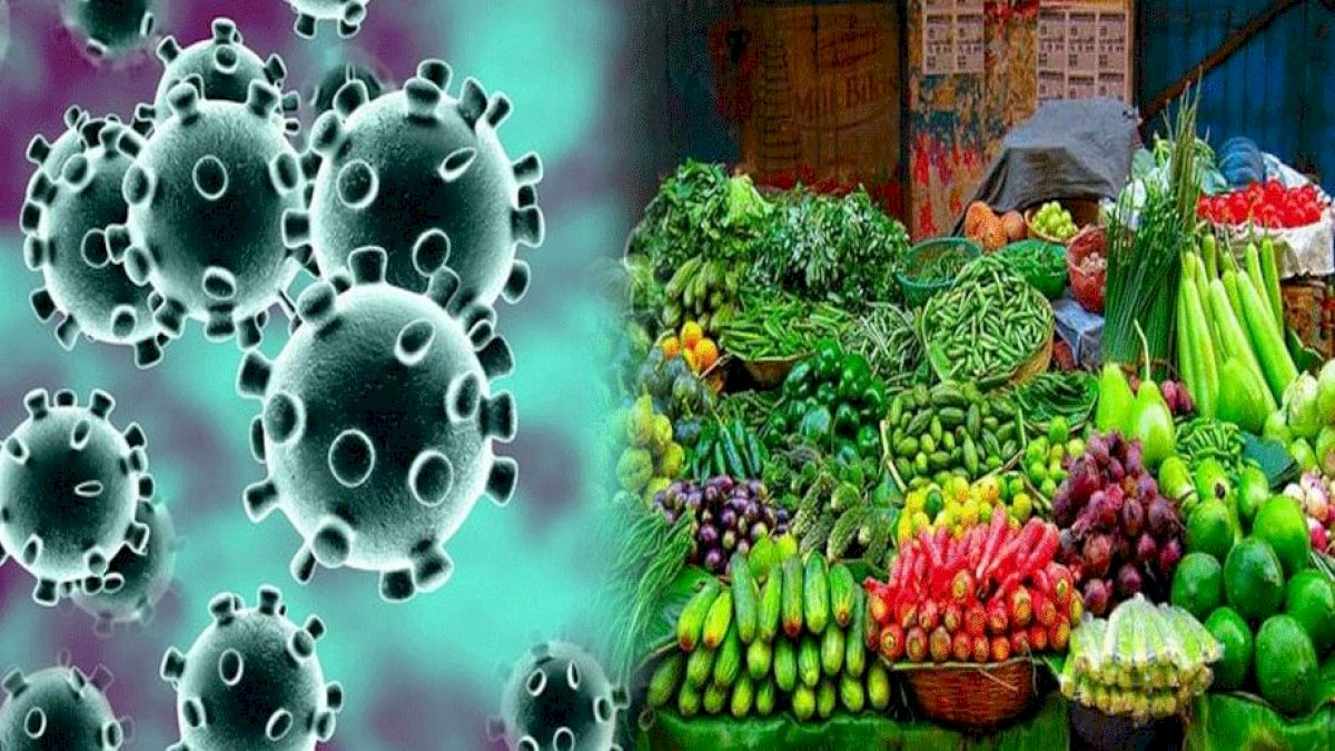 Corona Latest Study: फलों और सब्जियों से नहीं फैलता कोरोना, इंदौर के डॉक्टरों ने प्रयोग के बाद किया दावा Corona Latest Study: फलों और सब्जियों से नहीं फैलता कोरोना, इंदौर के डॉक्टरों ने प्रयोग के बाद किया दावा