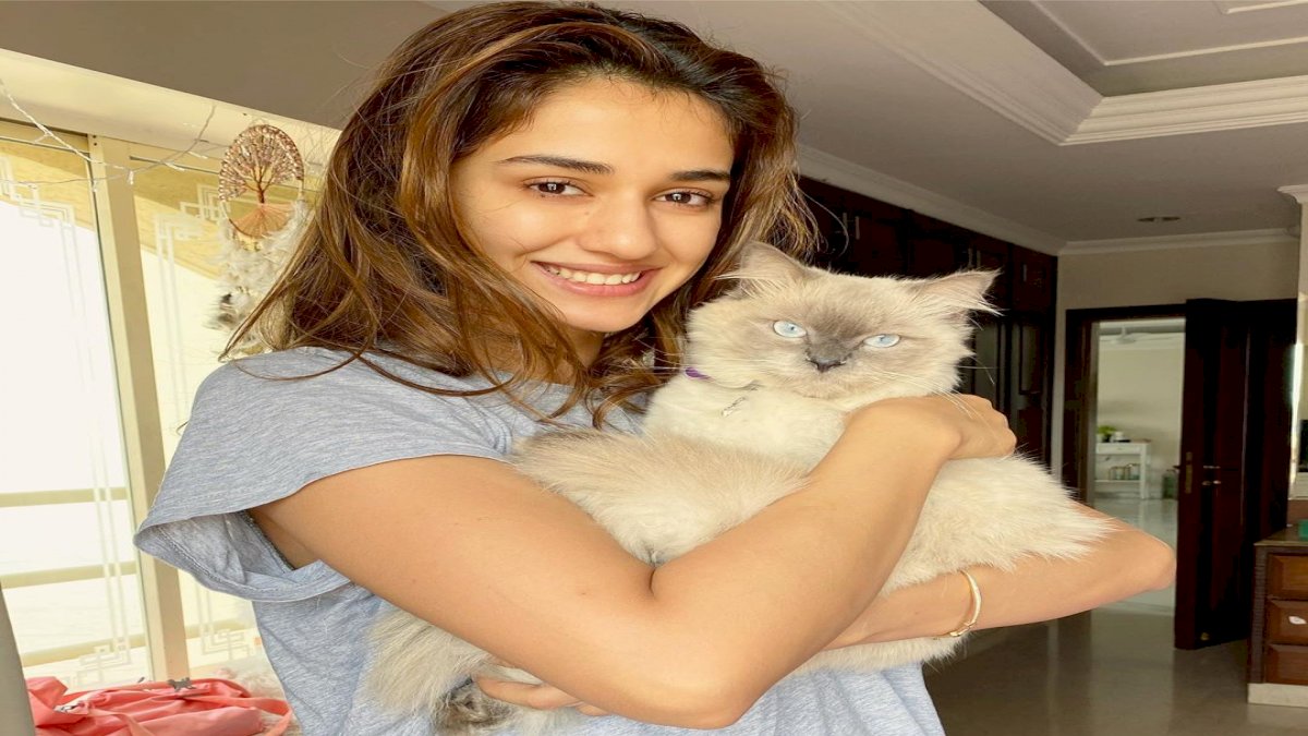 Disha Patani Disha Patani
