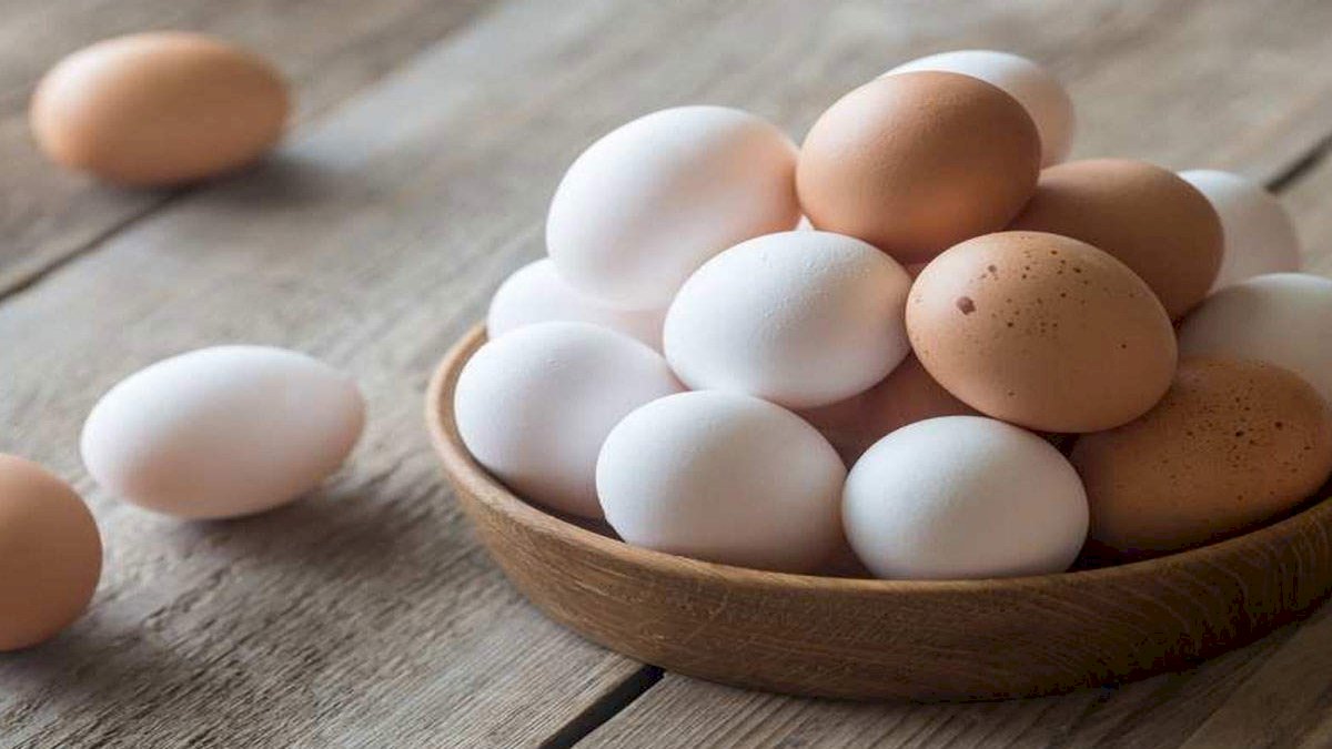 Quality check of eggs: ऐसे चेक करें अंडे की ताजगी Quality check of eggs: ऐसे चेक करें अंडे की ताजगी