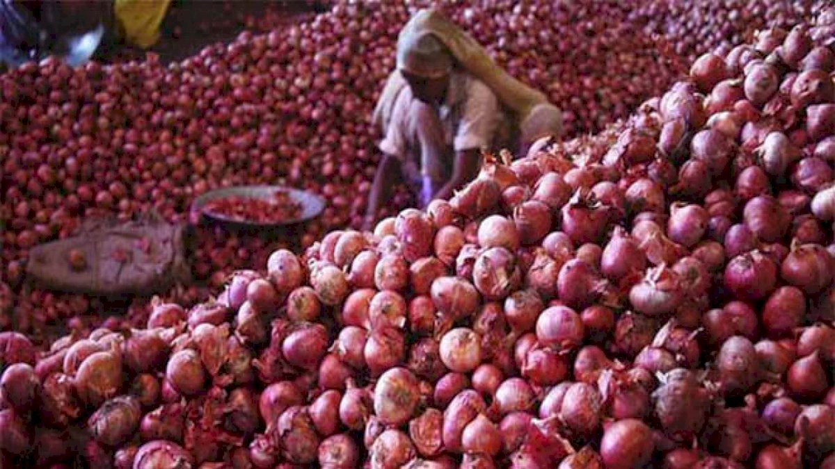 दाम घटाने के लिए 25 हज़ार टन प्याज़ आयात करेगी केंद्र सरकार दाम घटाने के लिए 25 हज़ार टन प्याज़ आयात करेगी केंद्र सरकार