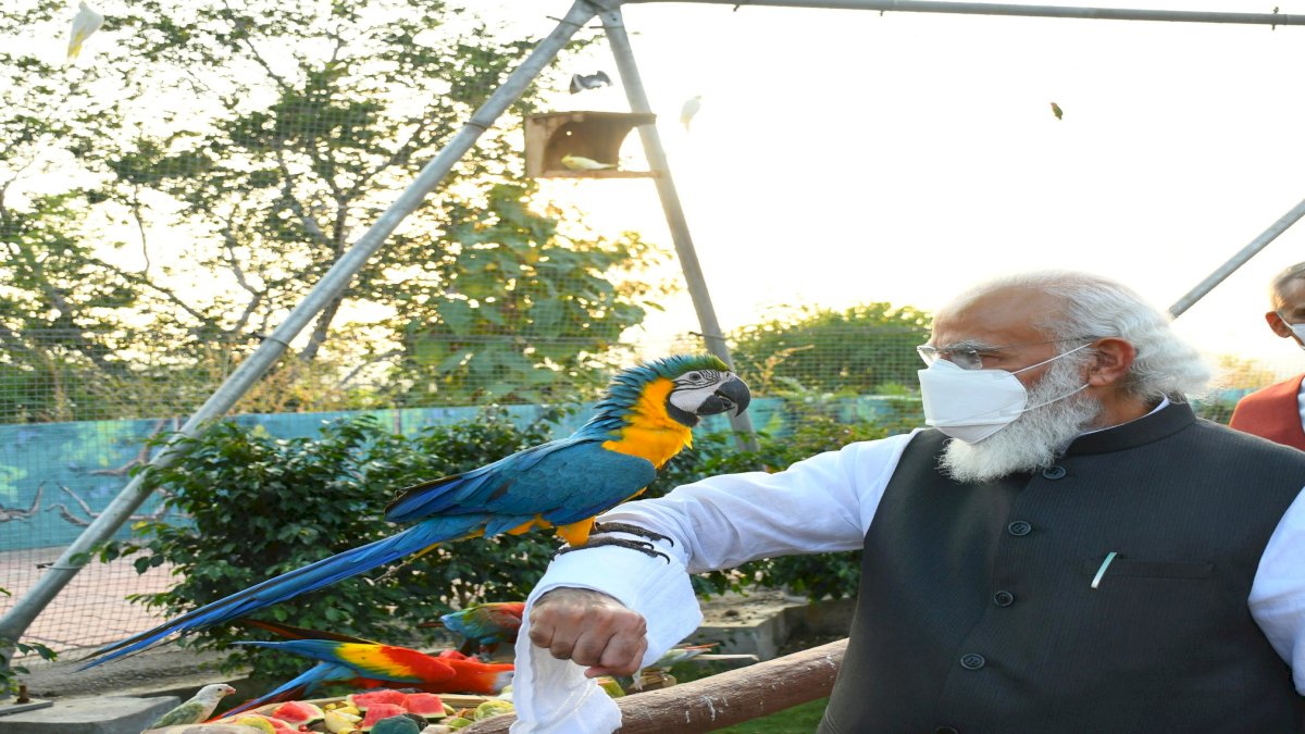 गरीबी, भुखमरी, बेरोजगारी से मर रहा है देश, पीएम फोटोशूट में व्यस्त, मोदी के तोता प्रेम पर लोगों का रिएक्शन गरीबी, भुखमरी, बेरोजगारी से मर रहा है देश, पीएम फोटोशूट में व्यस्त, मोदी के तोता प्रेम पर लोगों का रिएक्शन