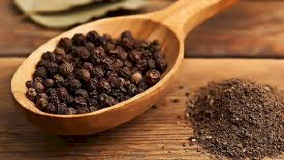 Black pepper: काली मिर्च खाएं बीमारी भगाएं, इम्युनिटी बढ़ाएं Black pepper: काली मिर्च खाएं बीमारी भगाएं, इम्युनिटी बढ़ाएं