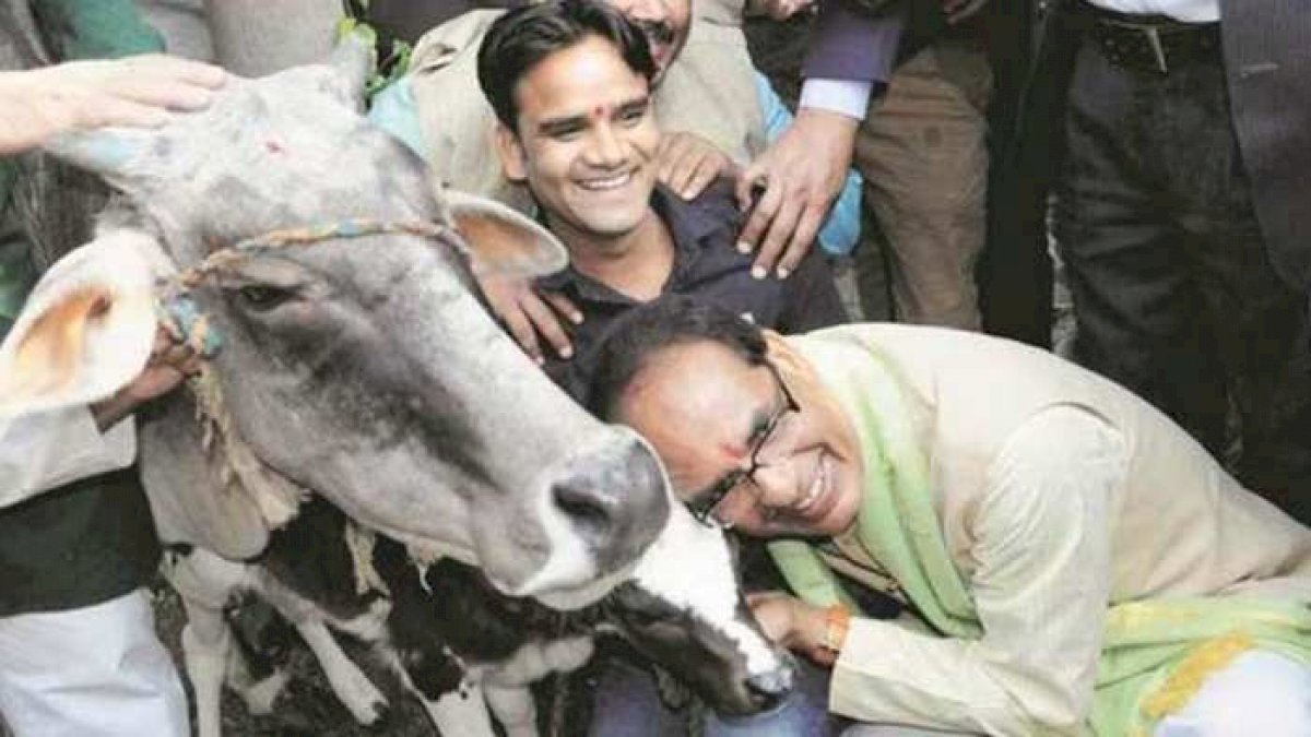 शिवराज का एलान, मध्य प्रदेश में बनेगी गौ कैबिनेट, गोपाष्टमी के दिन होगी पहली बैठक शिवराज का एलान, मध्य प्रदेश में बनेगी गौ कैबिनेट, गोपाष्टमी के दिन होगी पहली बैठक