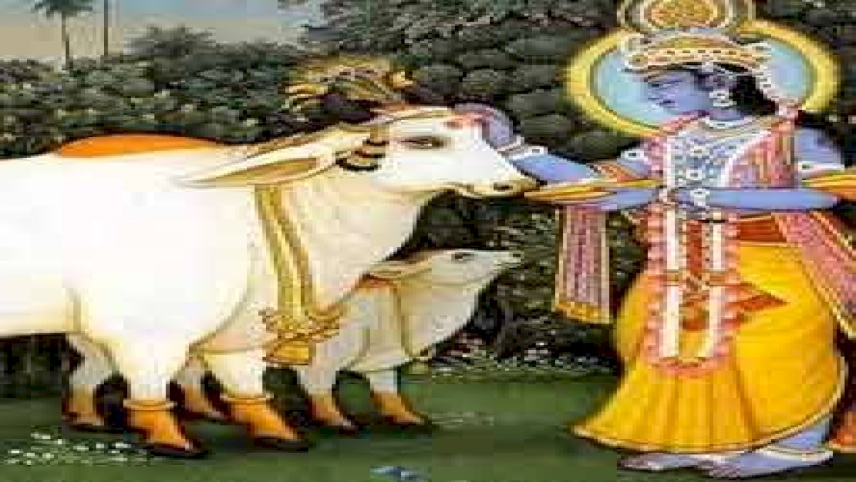 गावो विश्वस्य मातर गावो विश्वस्य मातर