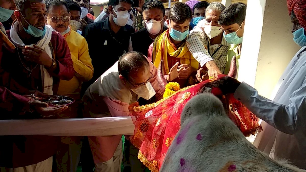 मध्य प्रदेश में लगेगा काउ टैक्स, आंगनबाड़ी में बच्चों को अंडे की जगह मिलेगा दूध मध्य प्रदेश में लगेगा काउ टैक्स, आंगनबाड़ी में बच्चों को अंडे की जगह मिलेगा दूध