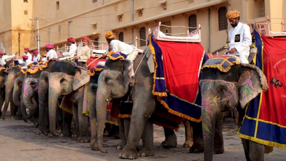 Jaipur : हाथी की सवारी पर लगा बैन हटा, प्रदेश बीजेपी अध्यक्ष सतीश पूनिया ने सीएम गहलोत को दिया धन्यवाद Jaipur : हाथी की सवारी पर लगा बैन हटा, प्रदेश बीजेपी अध्यक्ष सतीश पूनिया ने सीएम गहलोत को दिया धन्यवाद