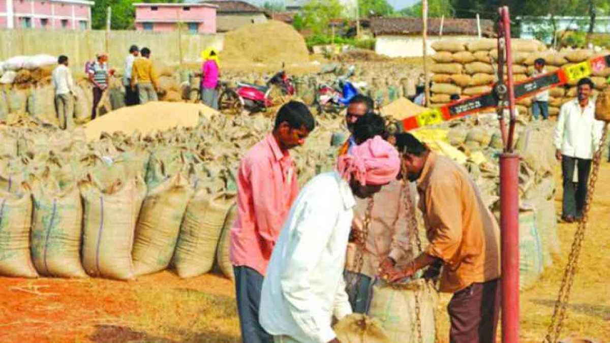 Chhattisgarh: छत्तीसगढ़ में धान खरीद आज से शुरू, 90 लाख टन खरीद का लक्ष्य Chhattisgarh: छत्तीसगढ़ में धान खरीद आज से शुरू, 90 लाख टन खरीद का लक्ष्य