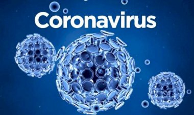 corona virus 