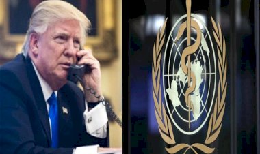trump and WHO 