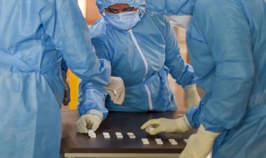 Medics arrange samples of Rapid Test (Photo: PTI)