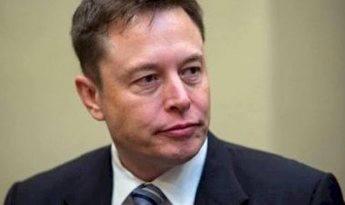 elon musk and donald trump