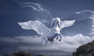 Photo courtesy : dreamastromeaning