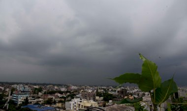 Photo courtesy : newsonfloor