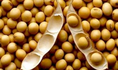 Photo courtesy : naidunia