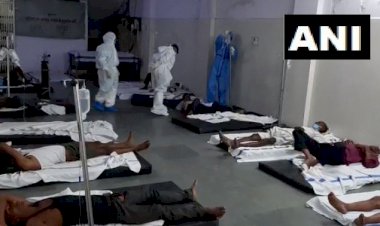 Photo courtesy : ani