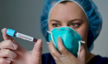 Photo courtesy : ibc14h