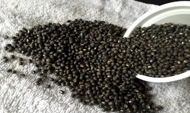 Photo courtesy : indiatv