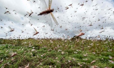 Photo courtesy : naidunia