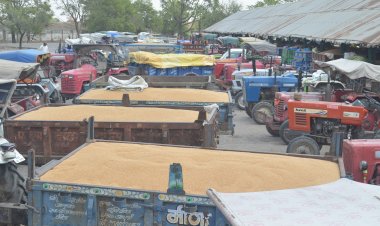 Photo courtesy : patrika