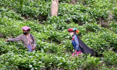 Photo: Swaraj Express 