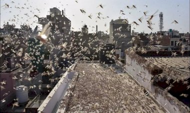 Photo courtesy : twitter