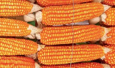 Photo courtesy : economictimes