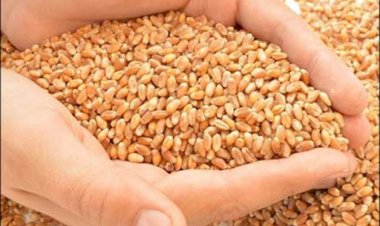 Photo courtesy : samtasandesh