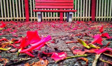 photo credite : loveleen 