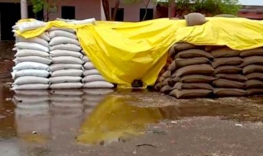 Photo courtesy : free press 