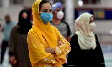 Photo courtesy : Firkee