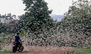 Photo courtesy : hindustan times 