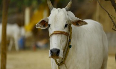 courtesy : Firstpost 