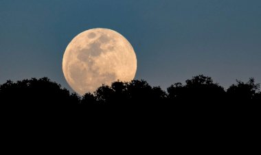 courtsey : couldrons and cupcakes