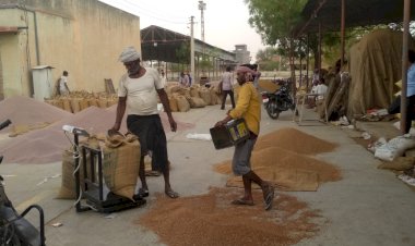 Photo courtesy : kisaankhetibari